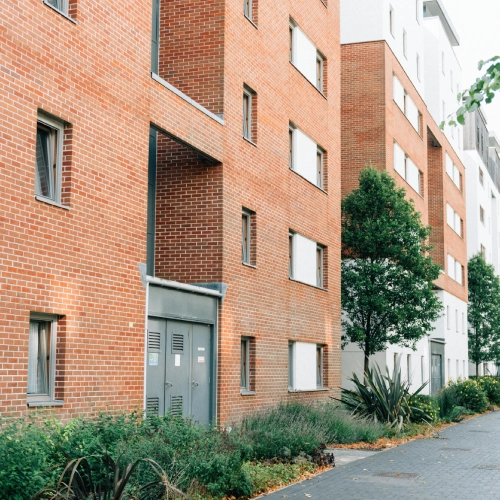 Proyecto02_comunidad